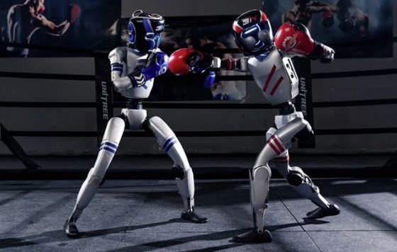 Autonomous fighting series - Humanoid Robot Boxing