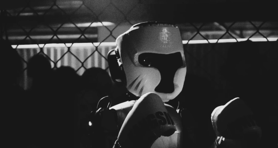 Robot Combat Sports Betting